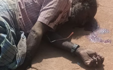 காது கேட்காத மரம் ஏறும் தொழிலாளி - நாசரேத் ரயில்வே கேட்டை கடக்கும்போது ரயில் மோதி பலி