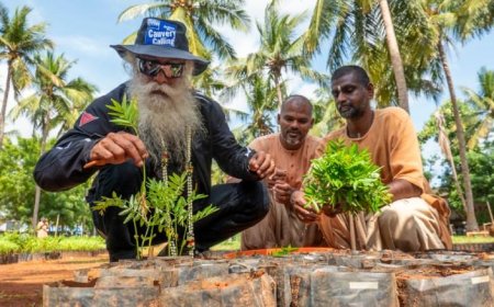 "மரம் சார்ந்த விவசாயமே ஒரே வழி"  - காவேரி பிரச்சனை குறித்து சத்குரு கருத்து