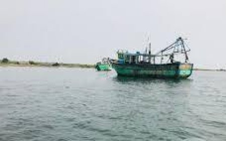 தமிழக மீனவர்கள் எல்லை தாண்டும் விவகாரத்தில்  ஐ.நா தலையிட வேண்டும் -  இலங்கை கடல் தொழில் அமைச்சர் டக்ளஸ் தேவானந்தா.!