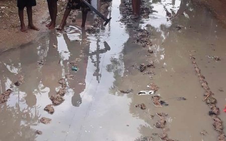 மழை நீரை அகற்ற முடியாமல் தவிக்கும் செக்காரக்குடி வடக்கு தெரு மக்கள் - கருணை காட்டுமா அரசுத்துறை?