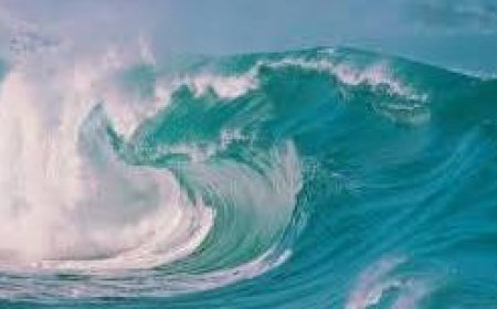 கடற்பகுதிகளில் பலத்த காற்று வீசும் என்பதால் தூத்துக்குடி மீனவர்கள்  கடலுக்கு செல்ல வேண்டாம்