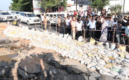 தூத்துக்குடி மாவட்ட வெள்ள பாதிப்புகளை பார்வையிட்ட மத்திய அமைச்சர் நிர்மலாசீதாராமன்