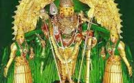 திருச்செந்தூா் முருகன் கோயிலில் பிப். 14 ல் மாசித் திருவிழா கொடியேற்றம் : நாளை கொடிப்பட்ட வீதி உலா