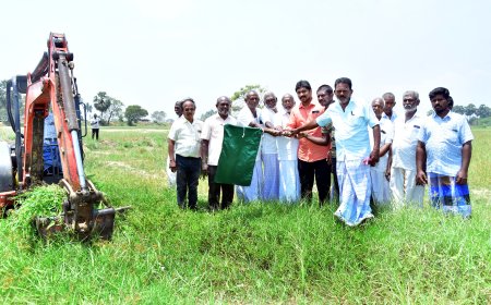 நாலுமாவடி புதுவாழ்வு சங்கம் மூலம் கடம்பாகுளம் பாசன வாய்க்கால்கள் தூர் வாரும் பணி!