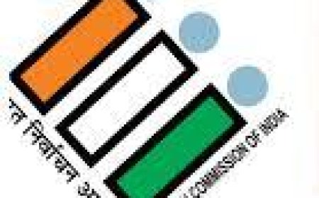 வாக்காளர் பட்டியல் திருத்தம் (SIR): உலக நடைமுறைதான், இந்தியாவில் நடப்பது அரசியல்