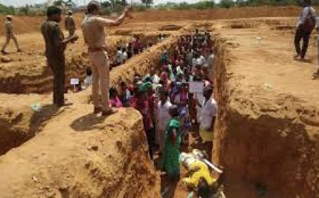 வள்ளலார் சர்வதேச மையம் அமையும் பகுதியில் தொல்லியல் குழு ஆய்வு செய்ய ஐகோர்ட் உத்தரவு