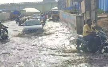 நவீன ஸ்மார்ட் கட்டமைப்பு திட்டங்களே வெள்ளம், வெப்பங்கள் உள்ளிட்ட அசாதாரணங்களுக்கு காரணமா?