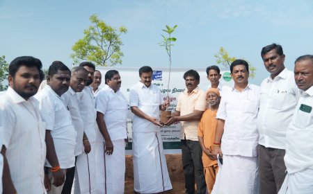 "பரிசுகள் வேண்டாம்,மரக்கன்றுகளை நடுங்கள்" என்றவர் முன்னாள் முதல்வர் கலைஞர் - அமைச்சர் சாமிநாதன் தகவல்