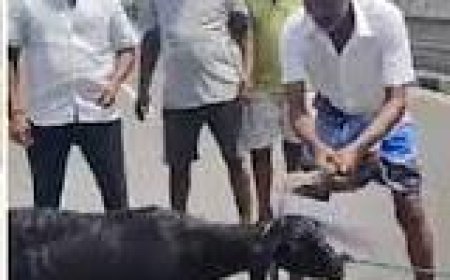 ஆடு வளர்ப்பதை கிண்டல் செய்வதுதான் சமத்துவ பாதுகாப்பா திமுகவினரே?