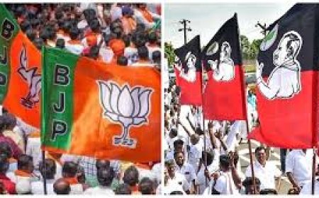 ரத்தம் சிந்தி, மொட்டை போட்டு தோல்வியை ஒப்புக் கொள்ளும் தொண்டர்கள் - விபரம் அறியாமல் ஆதரிக்கும் தலைவர்கள்