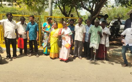 மாற்றுத்திறனாளிகளுக்கு அரசு வழங்கிய இலவச பட்டா நிலம் அபகரிப்பு? - நடவடிக்கை எடுக்க கோரிக்கை