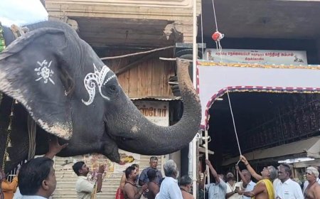 தேசிய கொடிக்கு வணக்கம் செய்துவிட்டு, ஜெய்ஹிந்த் சொன்ன நெல்லை கோவில் யானை காந்திமதி.!