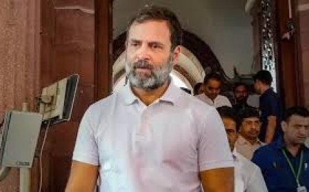 ராகுல்காந்தி பாஸ்போர்ட்டை ரத்து செய்ய பாஜக மனு -  இந்தியா குறித்து அவதூறாக பேசியதாக குற்றசாட்டு