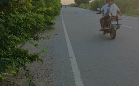 ''ஓரமா போகாதே உடை முள் குத்தும்'' - தூத்துக்குடி - திருச்செந்தூர் சாலையில் அவசியமாக உள்ள எச்சரிக்கை