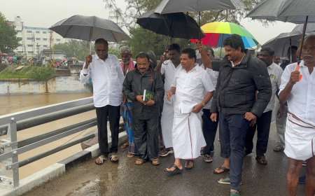 ஸ்ரீவைகுண்டம் தாமிரபரணி அணையில் அமைச்சர் அனிதாராதாகிருஷ்ணன் ஆய்வு