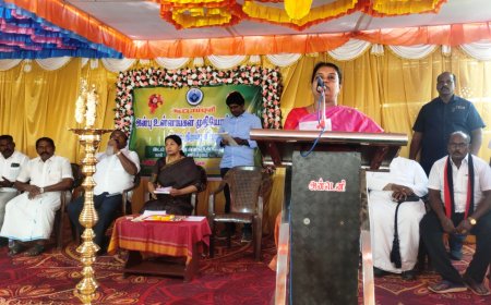 முதியோர் இல்லத்தில் இறக்கும் தாய், தந்தை உடலை வாங்கும் மனநிலையில் கூட பிள்ளைகள் இல்லை.    - அமைச்சர் கீதாஜீவன் வருத்தம்