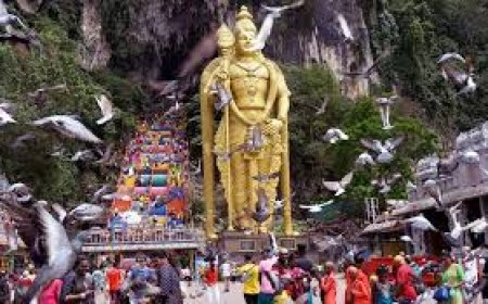 மலேசியா முருகன் கோவிலில் தைப் பூசவிழா - கோலாகல கொண்டாட்டம்