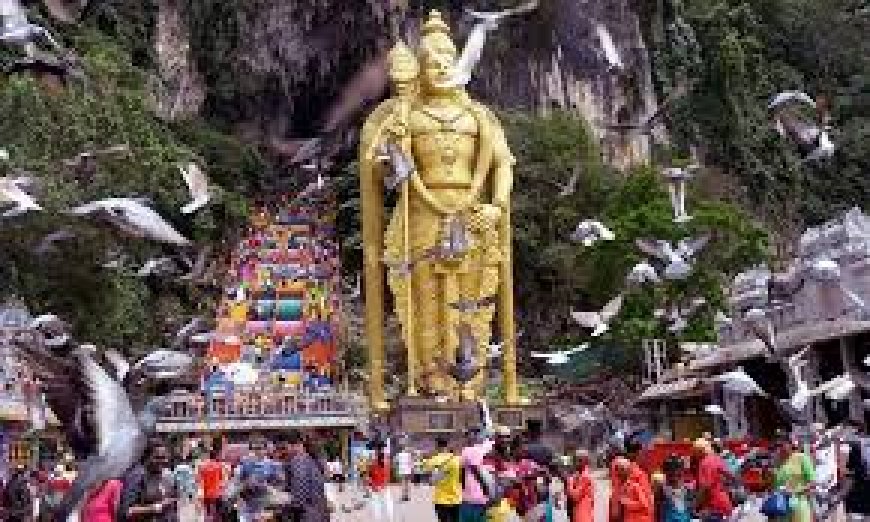 மலேசியா முருகன் கோவிலில் தைப் பூசவிழா - கோலாகல கொண்டாட்டம்