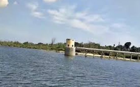 தாமிரபரணி ஆற்றில் மூழ்கி வாலிபர் பலி - தனியார் ஆலையை எதிர்த்து குலையன்கரிசலில் உண்ணாவிரதம்