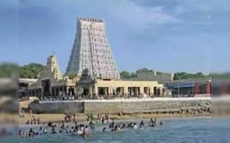 திருச்செந்தூர் முருகன் கோவிலில் ஜூலை மாதம் உண்டியல் வரவு - ரூ.84 கோடி பணம், 1 கிலோ 530 கிராம் தங்கம்