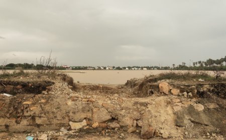 தூத்துக்குடி அருகே வெள்ள கால முன்னெச்சரிக்கை நடவடிக்கையால் விவசாயிகள் வேதனை!