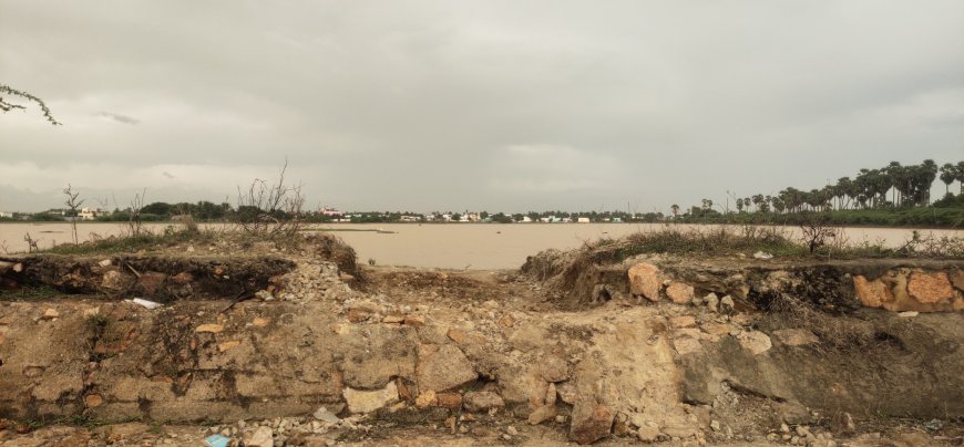 தூத்துக்குடி அருகே வெள்ள கால முன்னெச்சரிக்கை நடவடிக்கையால் விவசாயிகள் வேதனை!