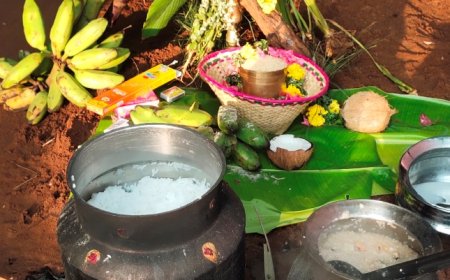 உலகெங்கும் கோலாகலமாக பொங்கல் விழா – தமிழகமெங்கும் திருவிழா சூழல்