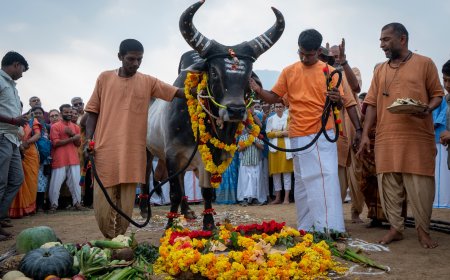 ஈஷாவில் பொங்கல் திருவிழா: கவனம் ஈர்த்த நாட்டு மாடுகள், கிராமிய கலை நிகழ்ச்சிகள், வெளிநாட்டவரின் சிலம்பம்!