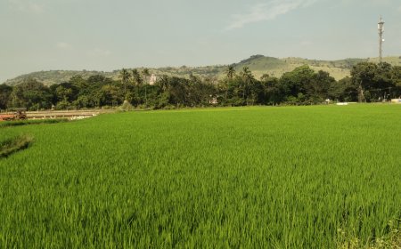 தென்காசி மாவட்டம் சிவசைலம் – இயற்கையின் மடியில் வளர்ந்த விவசாய பூமி