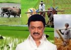 தூத்துக்குடியில் நடமாடும் உழவர் சந்தை - விவசாயிகளே நேரடி விற்பனையாளர்கள்