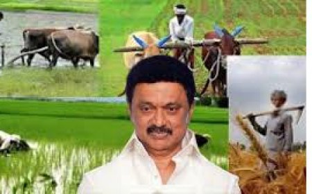 தூத்துக்குடியில் நடமாடும் உழவர் சந்தை - விவசாயிகளே நேரடி விற்பனையாளர்கள்