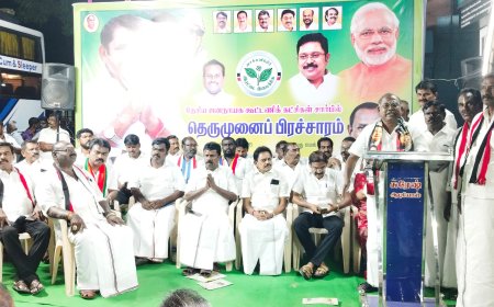 திமுக ஆட்சியில் நிறுத்திய திட்டங்கள் வரும் அதிமுக ஆட்சியில் கிடைக்கும்  - சி.த.செல்லப்பாண்டியன்