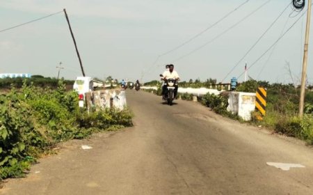 புதுக்கோட்டையில் பாலம் கட்டும் பணி - தவெக அரசு நிறைவேற்ற கோரிக்கை