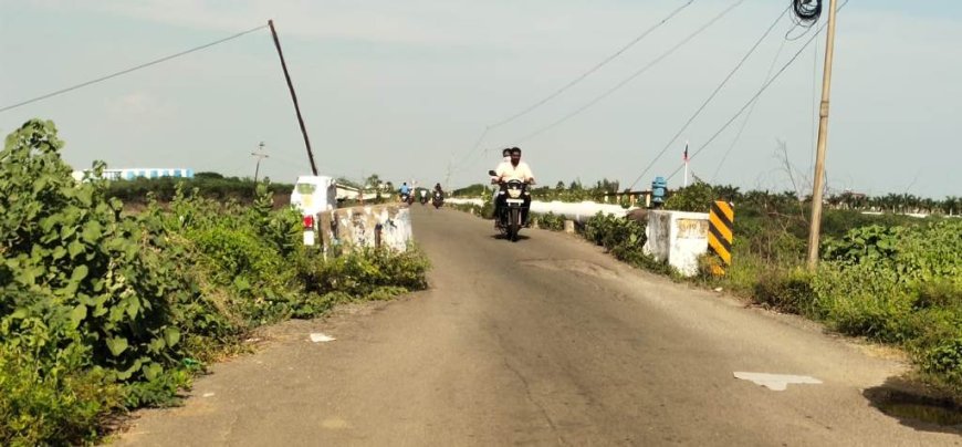 புதுக்கோட்டையில் பாலம் கட்டும் பணி - தவெக அரசு நிறைவேற்ற கோரிக்கை