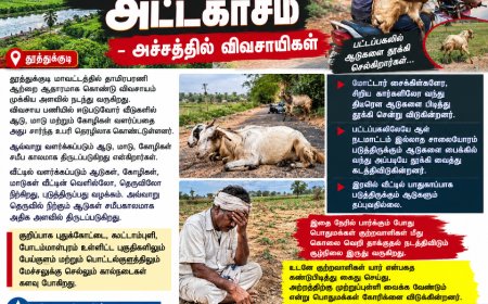 பட்டப்பகலில் ஆடு திருடும் கும்பல் அட்டகாசம் – அச்சத்தில் புதுக்கோட்டை பகுதி விவசாயிகள்