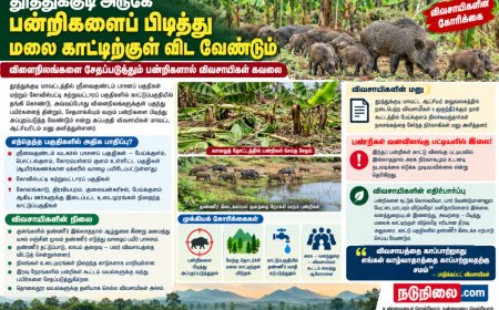 விளைநிலங்களுக்குள் புகுந்து பயிர்களை சேதப்படுத்தும் பன்றிகளை பிடித்து மலைக்காட்டில் விட வேண்டும் – விவசாயிகள் கோரிக்கை