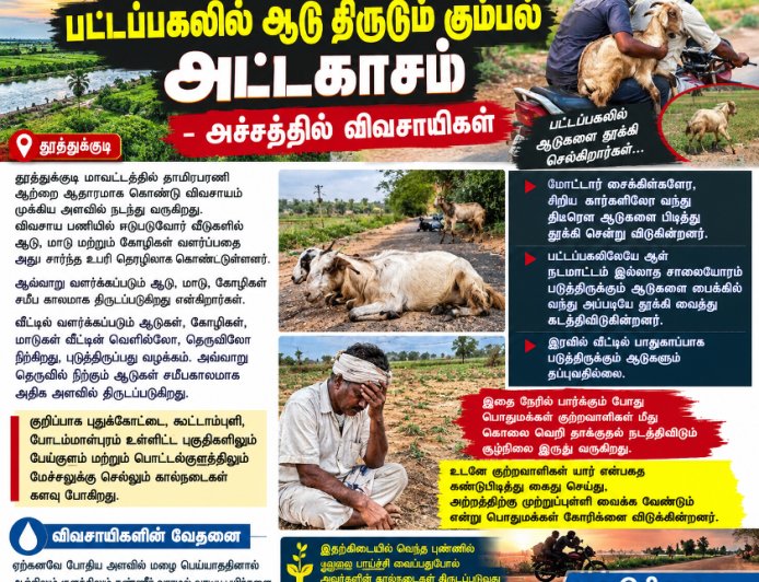 பட்டப்பகலில் ஆடு திருடும் கும்பல் அட்டகாசம் – அச்சத்தில் புதுக்கோட்டை பகுதி விவசாயிகள்