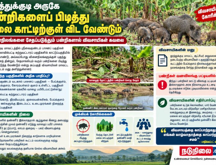 விளைநிலங்களுக்குள் புகுந்து பயிர்களை சேதப்படுத்தும் பன்றிகளை பிடித்து மலைக்காட்டில் விட வேண்டும் – விவசாயிகள் கோரிக்கை