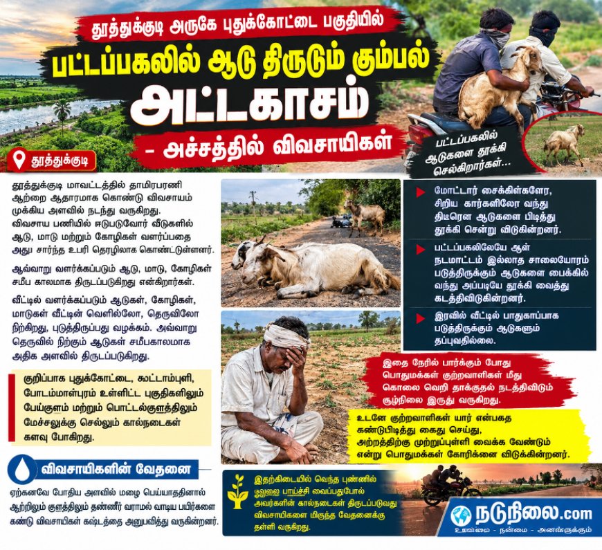 பட்டப்பகலில் ஆடு திருடும் கும்பல் அட்டகாசம் – அச்சத்தில் புதுக்கோட்டை பகுதி விவசாயிகள்