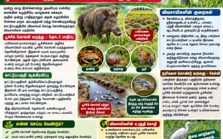 பூச்சிக்கொல்லி மருந்துகளால் உயிர் சேதம், உயிர் சேதங்களால் பயிர் சேதம்  – விவசாயிகளின் துயரத்திற்குத் தீர்வு ?