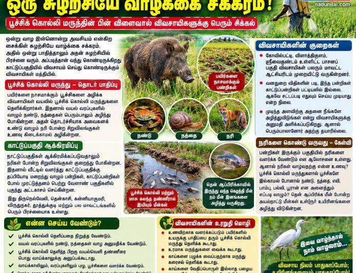 பூச்சிக்கொல்லி மருந்துகளால் உயிர் சேதம், உயிர் சேதங்களால் பயிர் சேதம்  – விவசாயிகளின் துயரத்திற்குத் தீர்வு ?